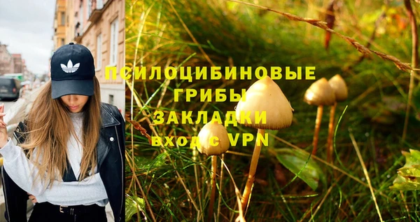 круглые Бородино