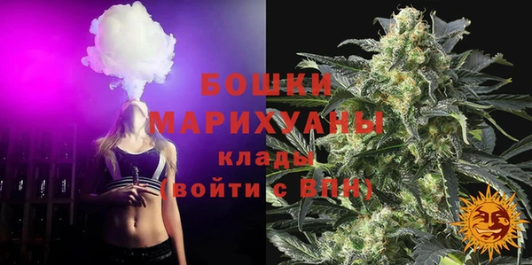 стаф Бронницы